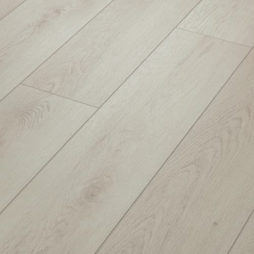 Paladin Plus in Warm Grey