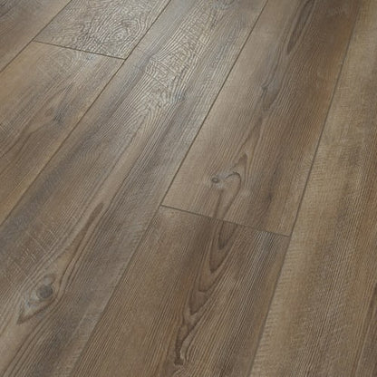 Victor Plus in Ripped Pine
