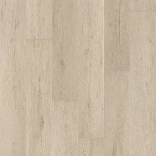 PANTHEON HD+ NATURAL BEVEL in Fresco Cream