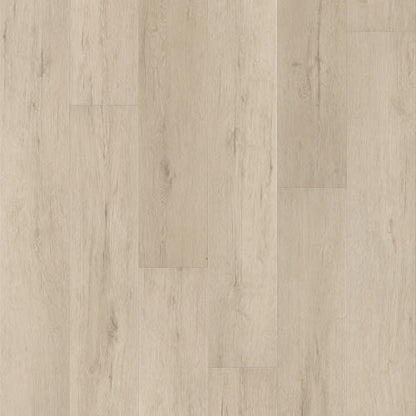PANTHEON HD+ NATURAL BEVEL in Fresco Cream