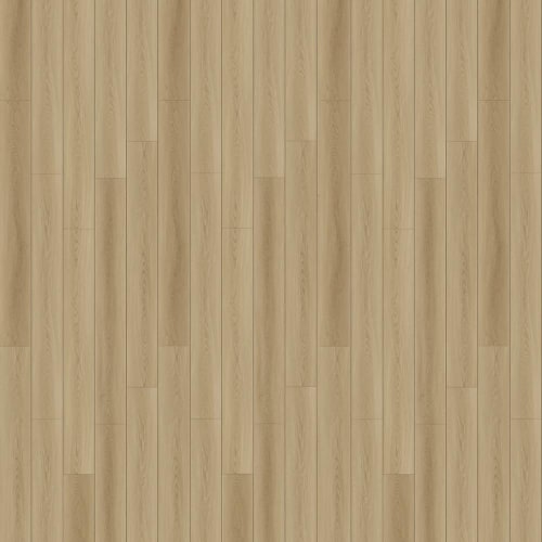 North Forest Collection in Verona Light