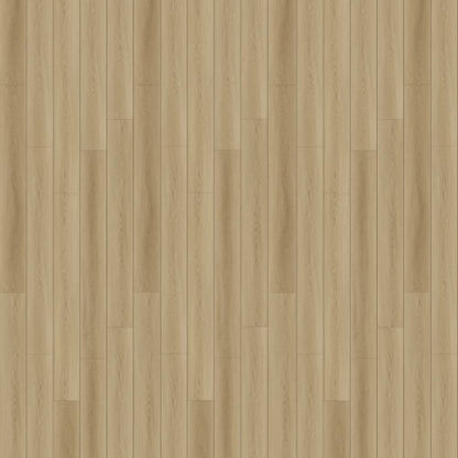 North Forest Collection in Verona Light