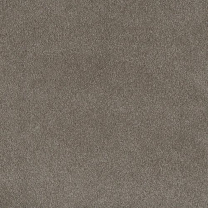 PALMETTO I