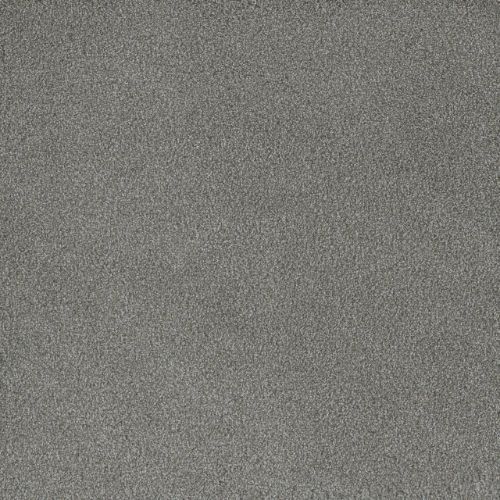 PALMETTO II