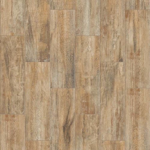 OLYMPIA PLANK in Natural Tile