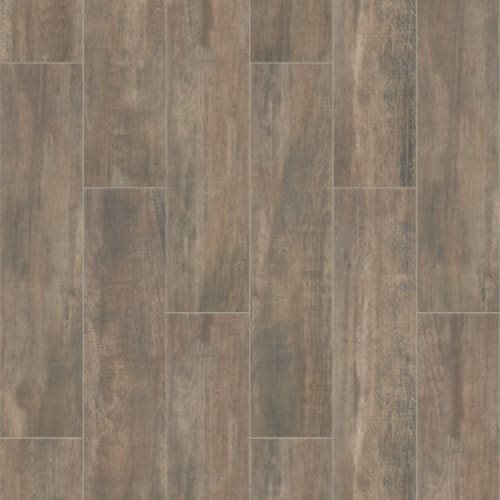OLYMPIA 8X36 in Brown