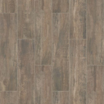 OLYMPIA 8X36 in Brown