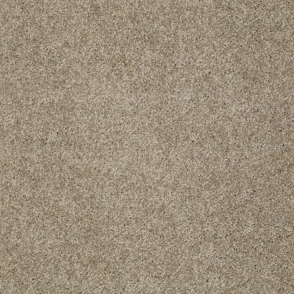 My Choice II in Cappuccino Carpet