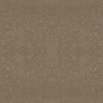 BASIC RULES in Gold Rush Carpet