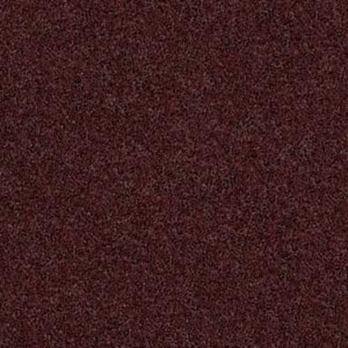 Source in Berry Carpet