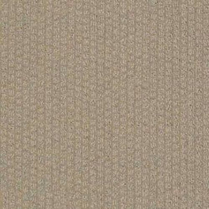 Gainey Ranch in Hiking Trail Carpet