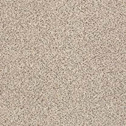 PLATINUM TEXTURE ACCENTS in Bistro Carpet