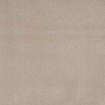 Finesse in Buckskin Carpet