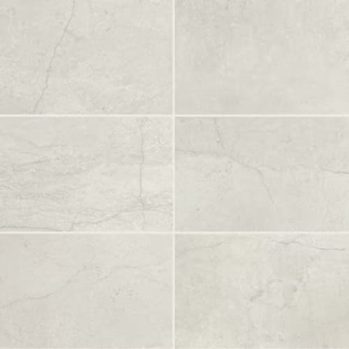 Stone Theory in Notion - 12x24 Tile