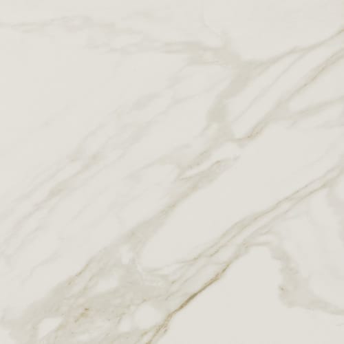 Perpetuo in Brilliant White 24x24 Tile
