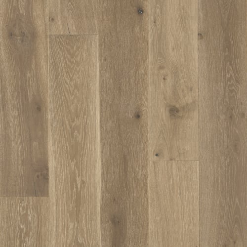 Latitude Collection - Sanctuary in Dune