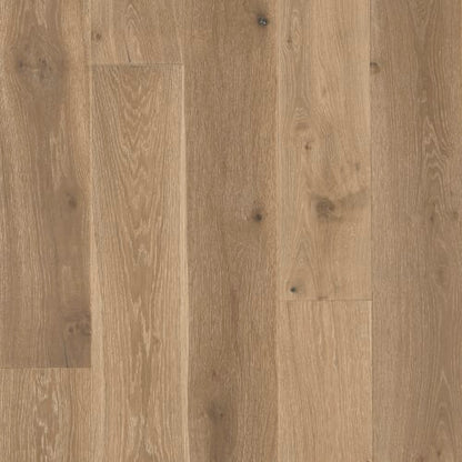Latitude Collection - Sanctuary in Dune