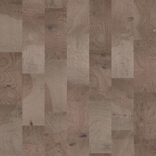 ALPINE HICKORY in Morningside
